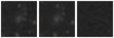 Missing file PGC2806928-custom-montage-W1W2.png