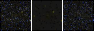 Missing file PGC2807144-custom-montage-FUVNUV.png