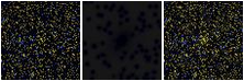 Missing file PGC2832084-custom-montage-FUVNUV.png