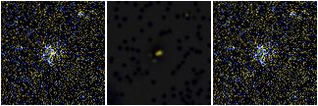 Missing file PGC2832085-custom-montage-FUVNUV.png