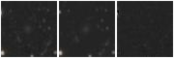 Missing file PGC2832085-custom-montage-W1W2.png