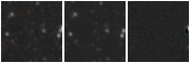 Missing file PGC3289704-custom-montage-W1W2.png