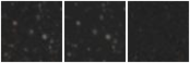Missing file SDSSJ114933.49+592621.7-custom-montage-W1W2.png
