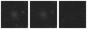 Missing file VFID0935-custom-montage-W1W2.png