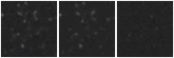 Missing file AGC219728-custom-montage-W1W2.png