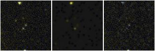 Missing file GAMA022651-custom-montage-FUVNUV.png