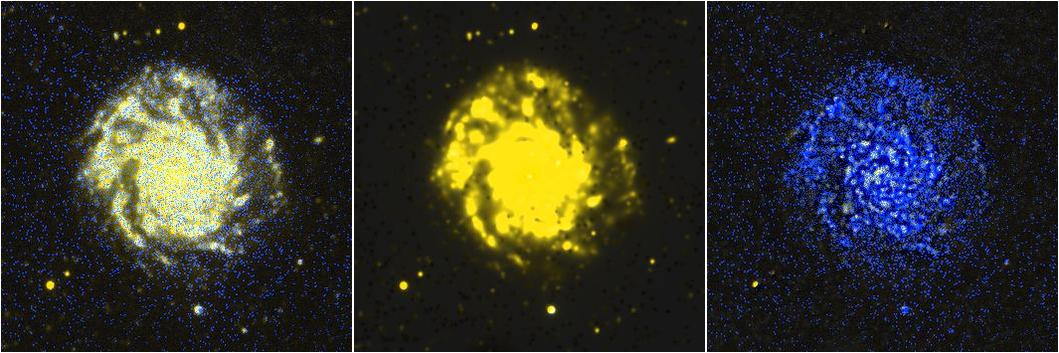 Missing file NGC3938-custom-montage-FUVNUV.png
