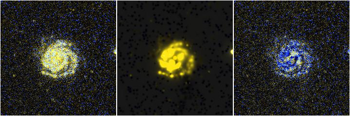 Missing file NGC3963-custom-montage-FUVNUV.png