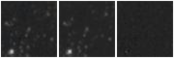 Missing file PGC037227-custom-montage-W1W2.png
