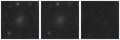Missing file PGC037445-custom-montage-W1W2.png