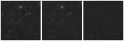Missing file PGC1174253-custom-montage-W1W2.png
