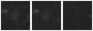 Missing file PGC166116-custom-montage-W1W2.png