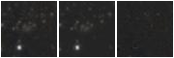 Missing file PGC2272248-custom-montage-W1W2.png