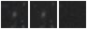 Missing file PGC2314360-custom-montage-W1W2.png