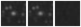 Missing file PGC2624407-custom-montage-W1W2.png