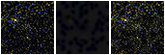 Missing file SDSSJ115504.20+282052.3-custom-montage-FUVNUV.png