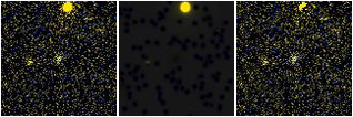 Missing file SDSSJ115519.26+321606.7-custom-montage-FUVNUV.png