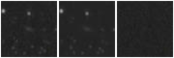 Missing file AGC215716-custom-montage-W1W2.png