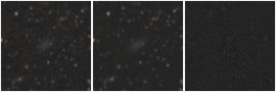 Missing file PGC037523-custom-montage-W1W2.png