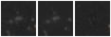 Missing file PGC1981745-custom-montage-W1W2.png