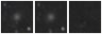 Missing file PGC213915-custom-montage-W1W2.png