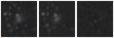 Missing file PGC2392619-custom-montage-W1W2.png