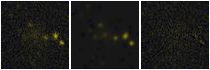 Missing file PGC2832101-custom-montage-FUVNUV.png