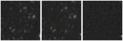 Missing file PGC3291730-custom-montage-W1W2.png