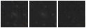 Missing file SDSSJ115849.68+462753.0-custom-montage-W1W2.png