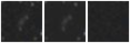 Missing file SDSSJ115936.94+425715.7-custom-montage-W1W2.png