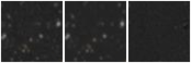 Missing file AGC229276-custom-montage-W1W2.png