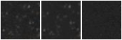Missing file GAMA288932-custom-montage-W1W2.png