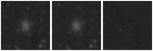 Missing file PGC037896-custom-montage-W1W2.png