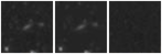 Missing file PGC1374673-custom-montage-W1W2.png