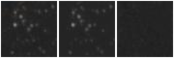 Missing file PGC2697093-custom-montage-W1W2.png