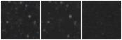 Missing file PGC2832105-custom-montage-W1W2.png