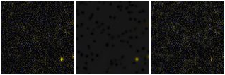 Missing file PGC3095176-custom-montage-FUVNUV.png