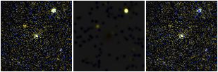 Missing file SDSSJ120255.53+554905.6-custom-montage-FUVNUV.png