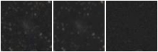 Missing file UGC07038-custom-montage-W1W2.png