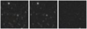 Missing file AGC229346-custom-montage-W1W2.png