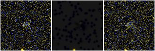 Missing file AGC229376-custom-montage-FUVNUV.png