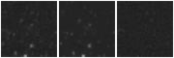 Missing file AGC229376-custom-montage-W1W2.png