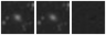 Missing file PGC038299-custom-montage-W1W2.png