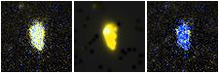 Missing file PGC038384-custom-montage-FUVNUV.png