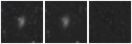 Missing file PGC038432-custom-montage-W1W2.png