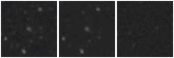 Missing file PGC1142295-custom-montage-W1W2.png