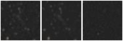Missing file PGC166122-custom-montage-W1W2.png