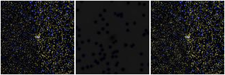 Missing file SDSSJ120413.71+392741.3-custom-montage-FUVNUV.png