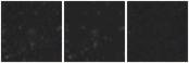 Missing file SDSSJ120413.71+392741.3-custom-montage-W1W2.png