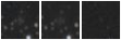 Missing file SDSSJ120749.98+313307.7-custom-montage-W1W2.png
